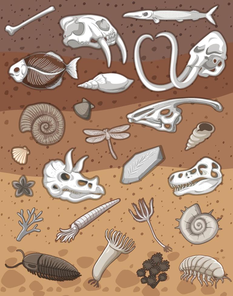 Many fossil under the ground vector
