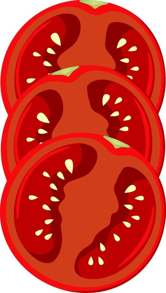 Sliced red tomato in half on white background vector