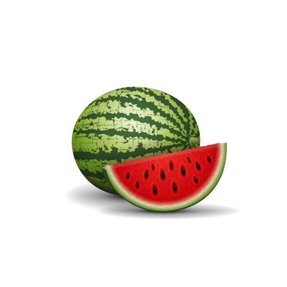 Watermelon isolated on white background for your creativity vector