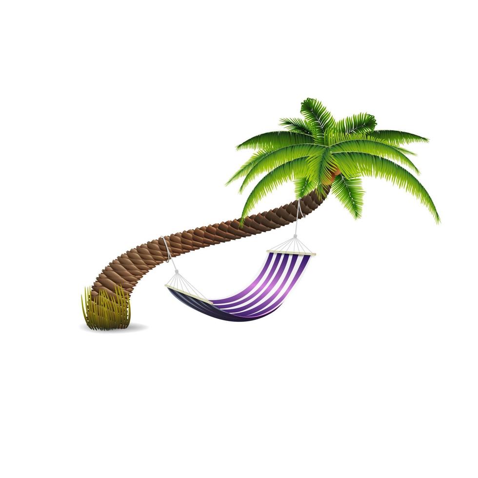Hammock under palm tree isolated on white background for your creativity vector