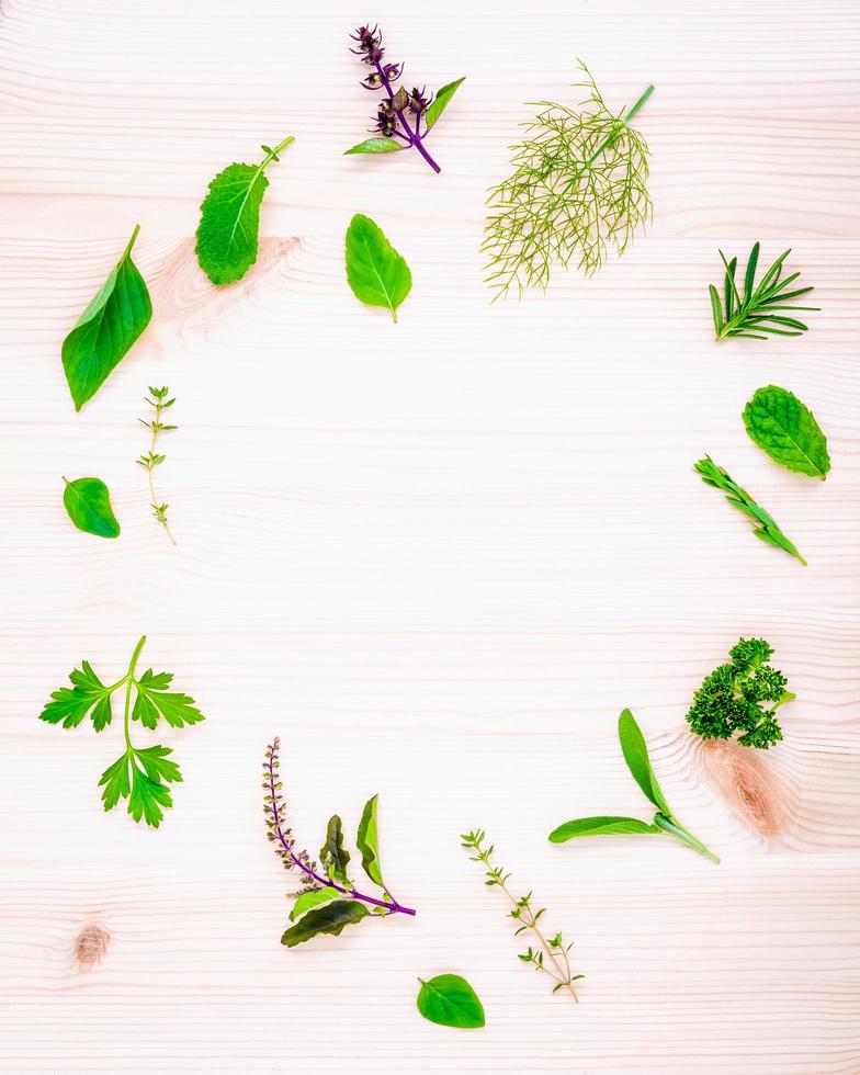 Circle of fresh herbs photo