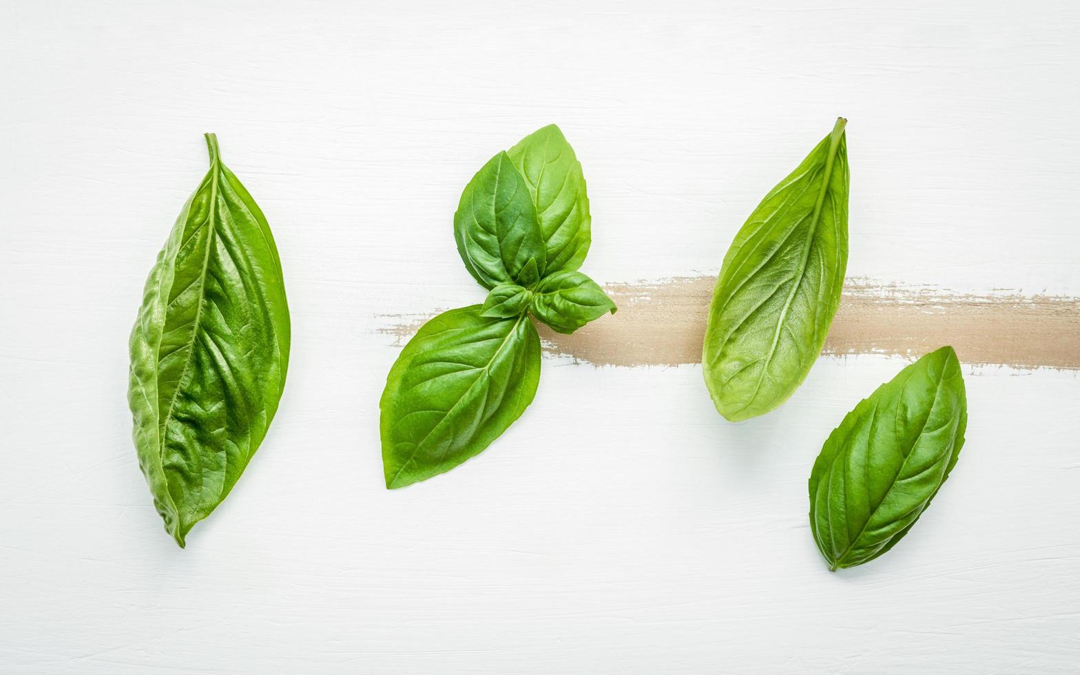 Sweet basil leaves on a white shabby wooden background photo