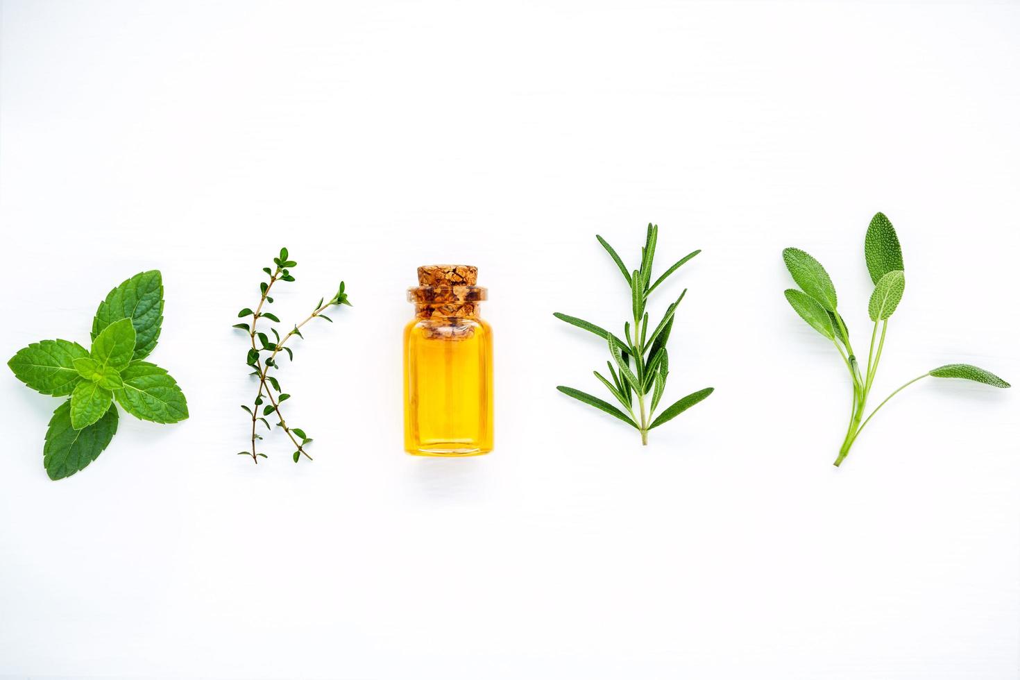 Bottle of essential oil with fresh herbs photo