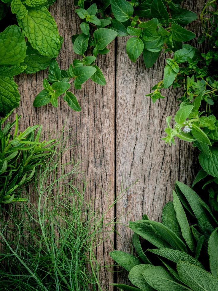 Green herbs on wood photo