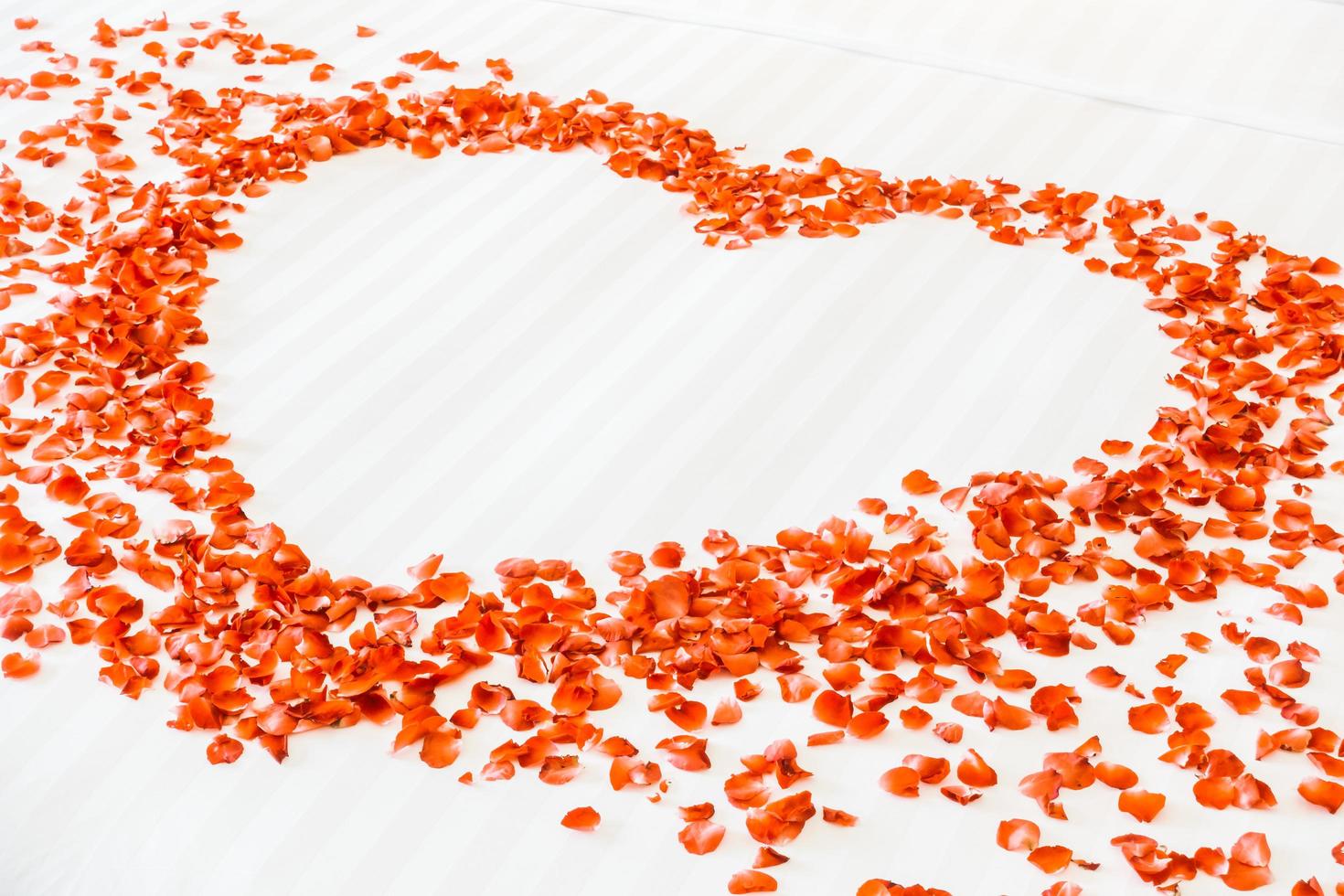 Flower petals on the bed photo