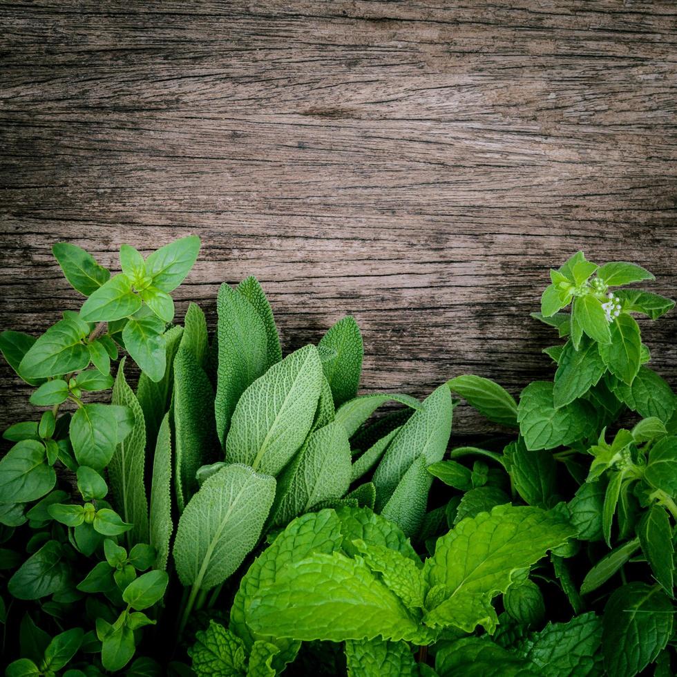 Herbs on wood photo