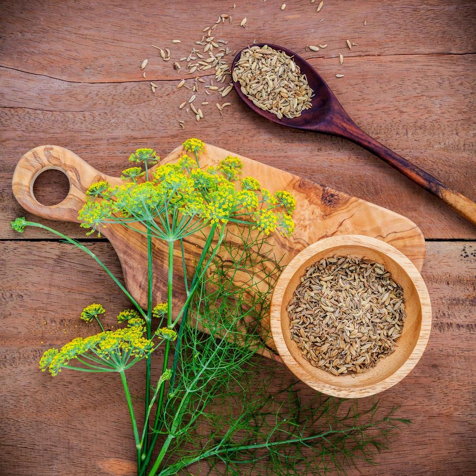 Blossoming branch of fennel and dried fennel seeds photo