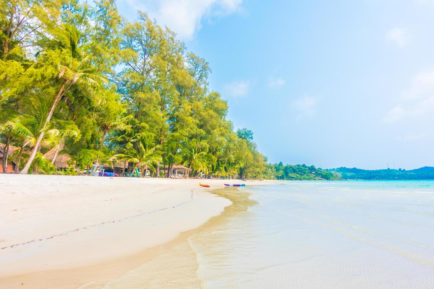 playa tropical con palmeras foto