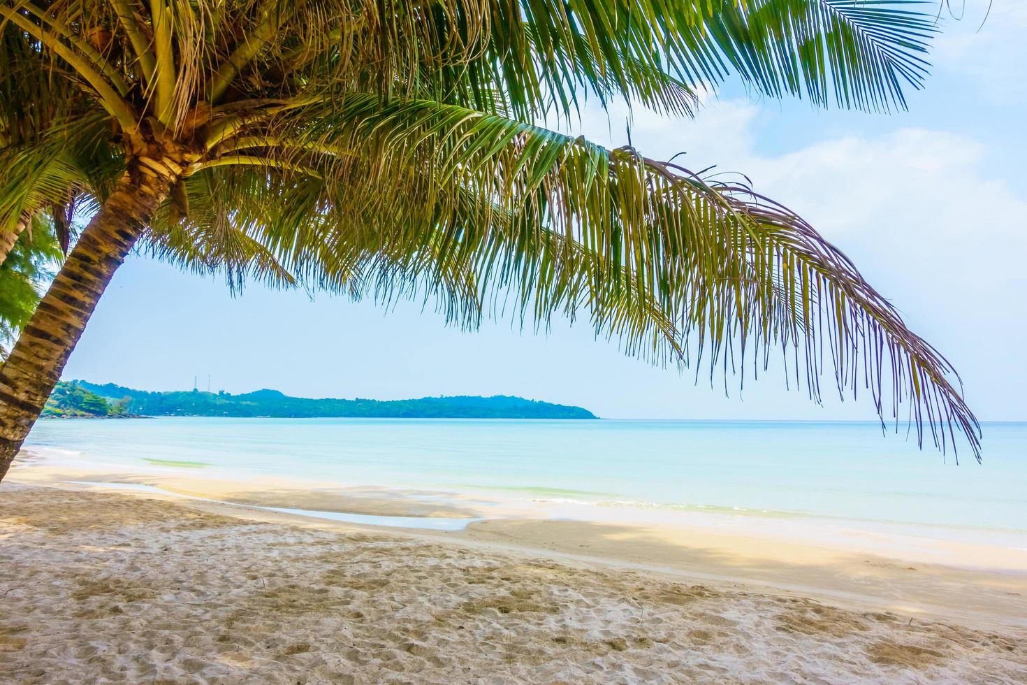 hermosa playa tropical foto