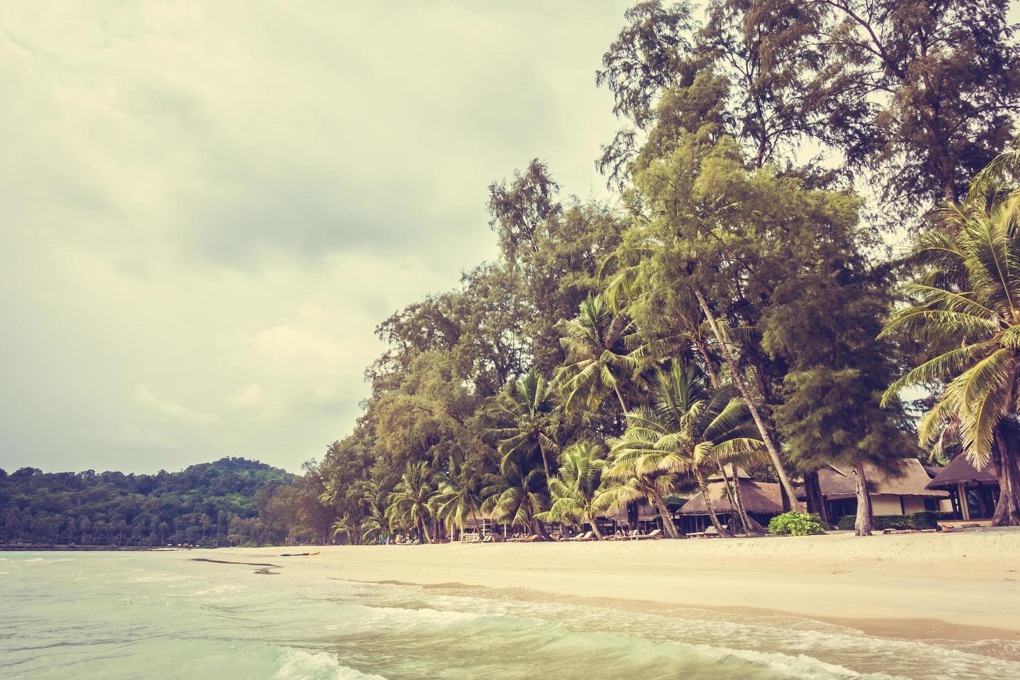 Tropical beach with palm trees photo