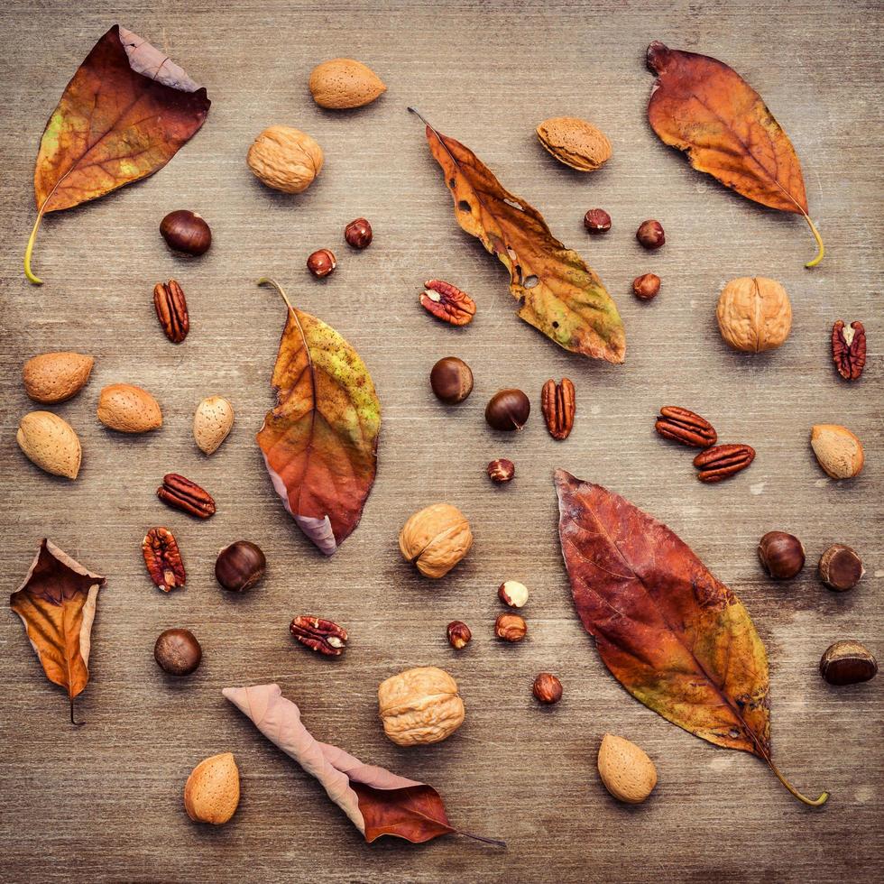 Dried leaves and nuts photo