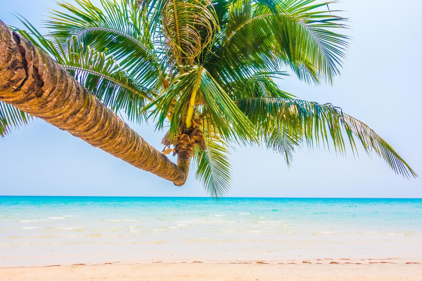 playa tropical con palmeras foto