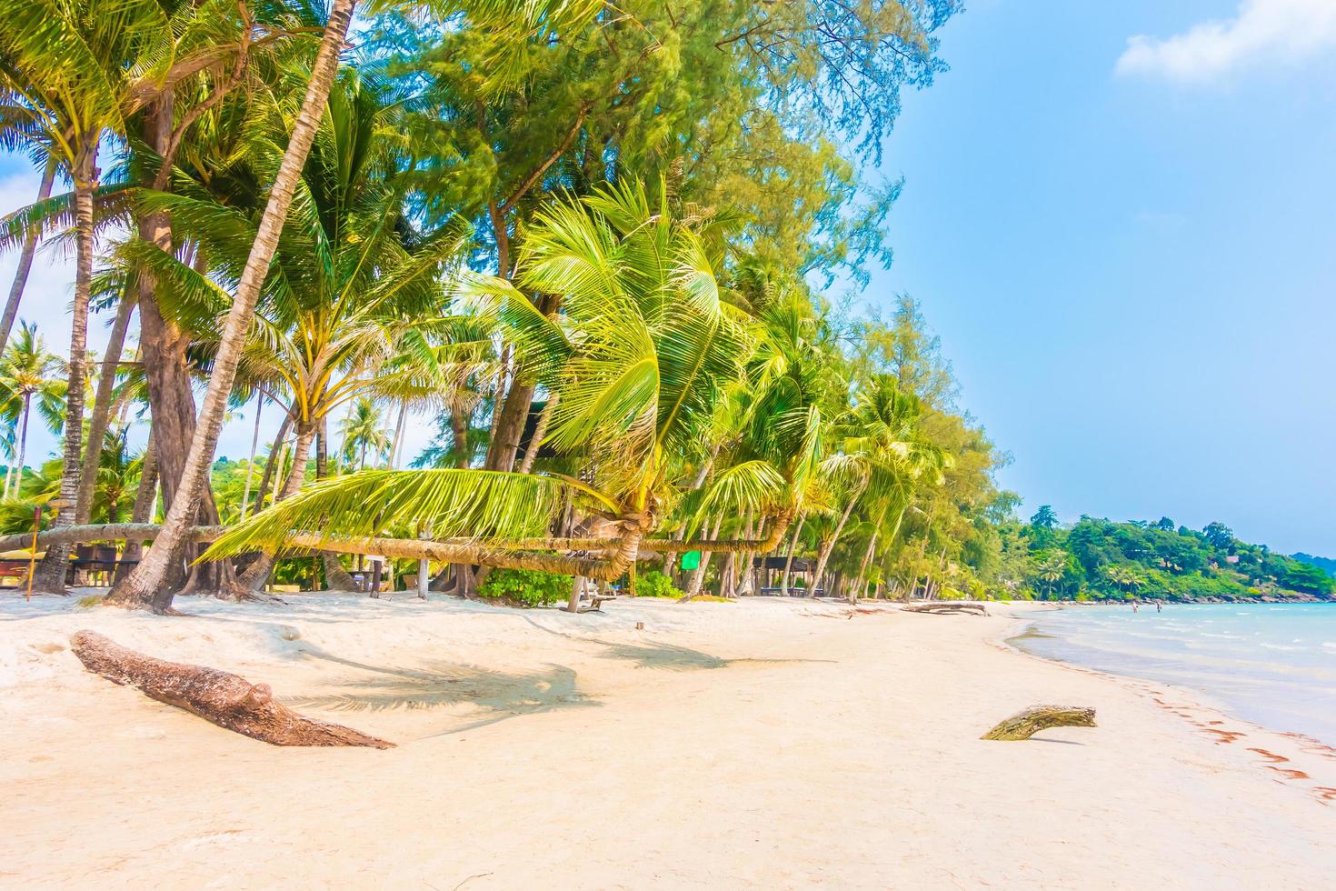 playa tropical con palmeras foto