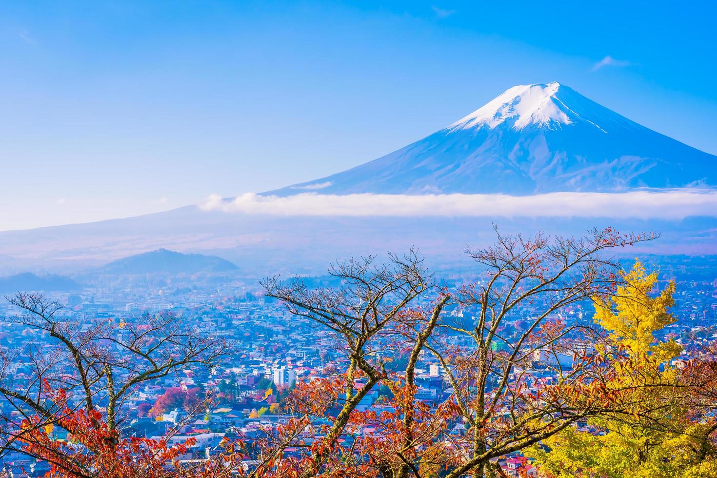 Mt. Fuji in Japan in autumn photo