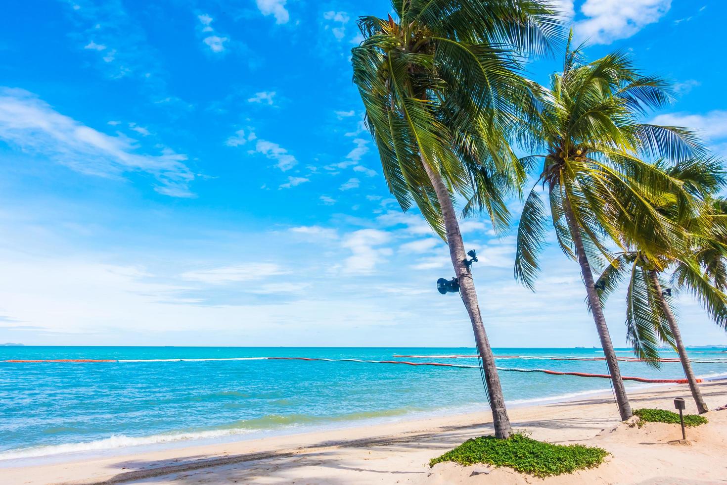 hermosa playa tropical foto