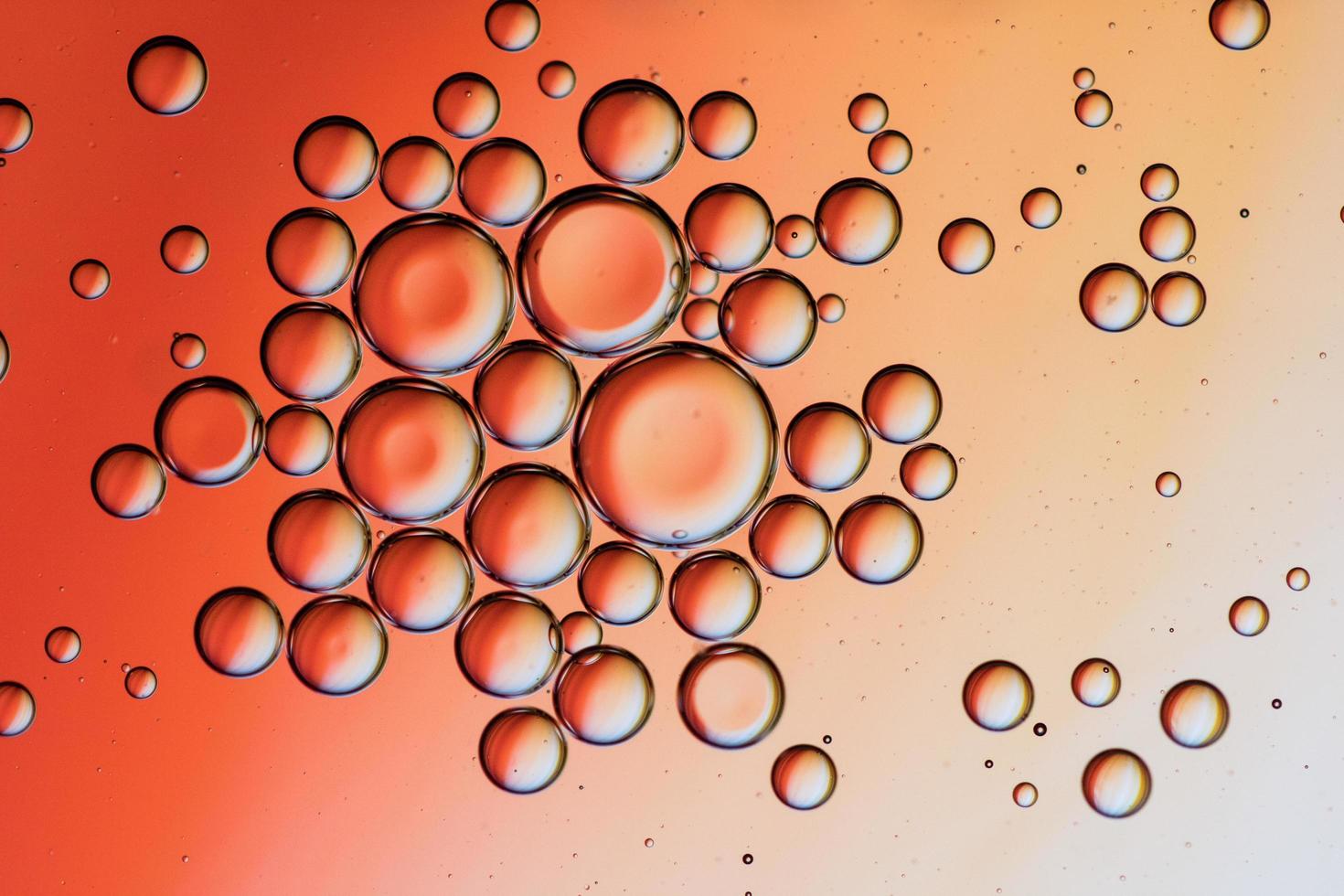 Close-up of water drops on orange surface photo