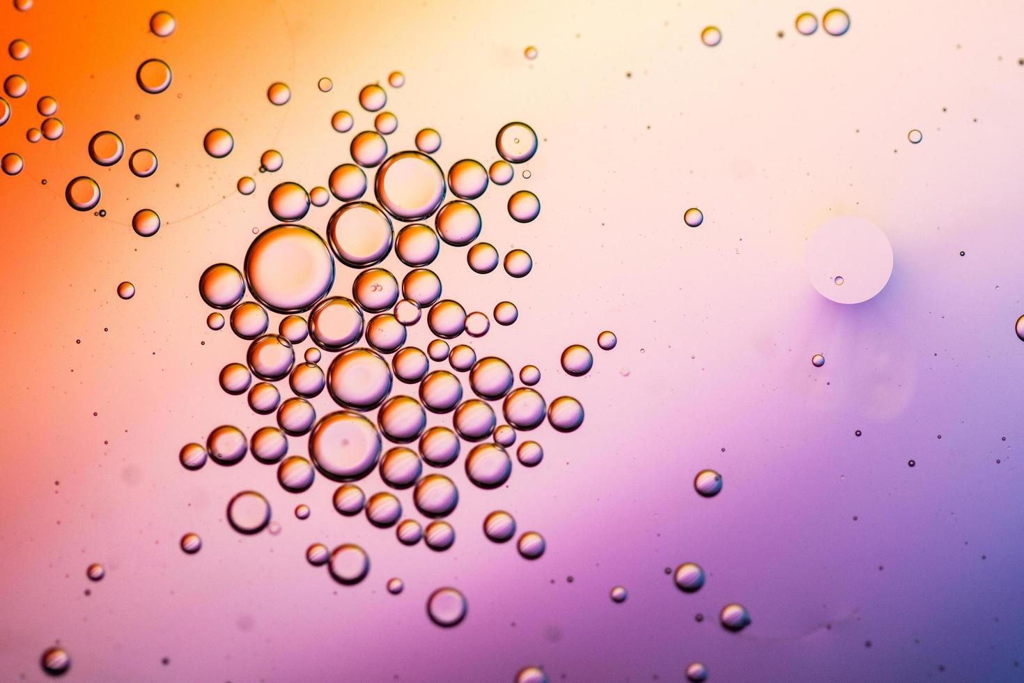 Close-up of water drops on colorful surface photo