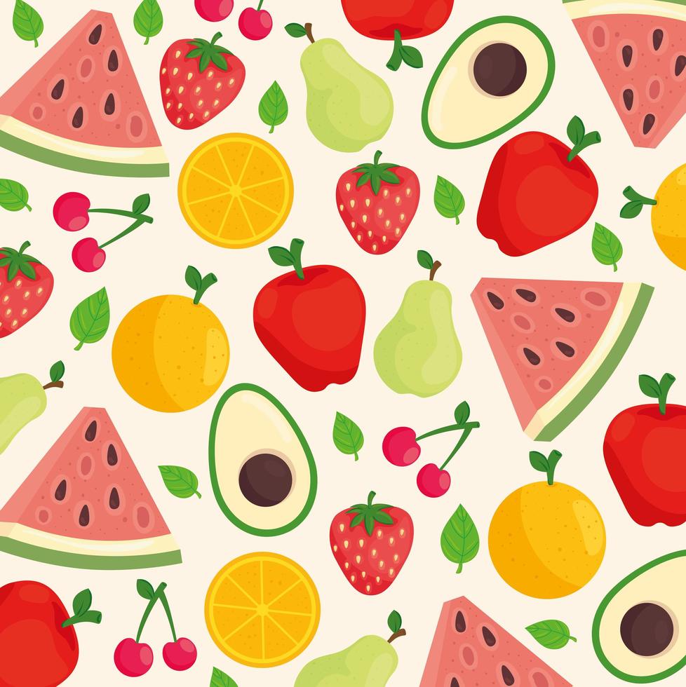 Pattern background of mixed fresh fruits and avocado vector