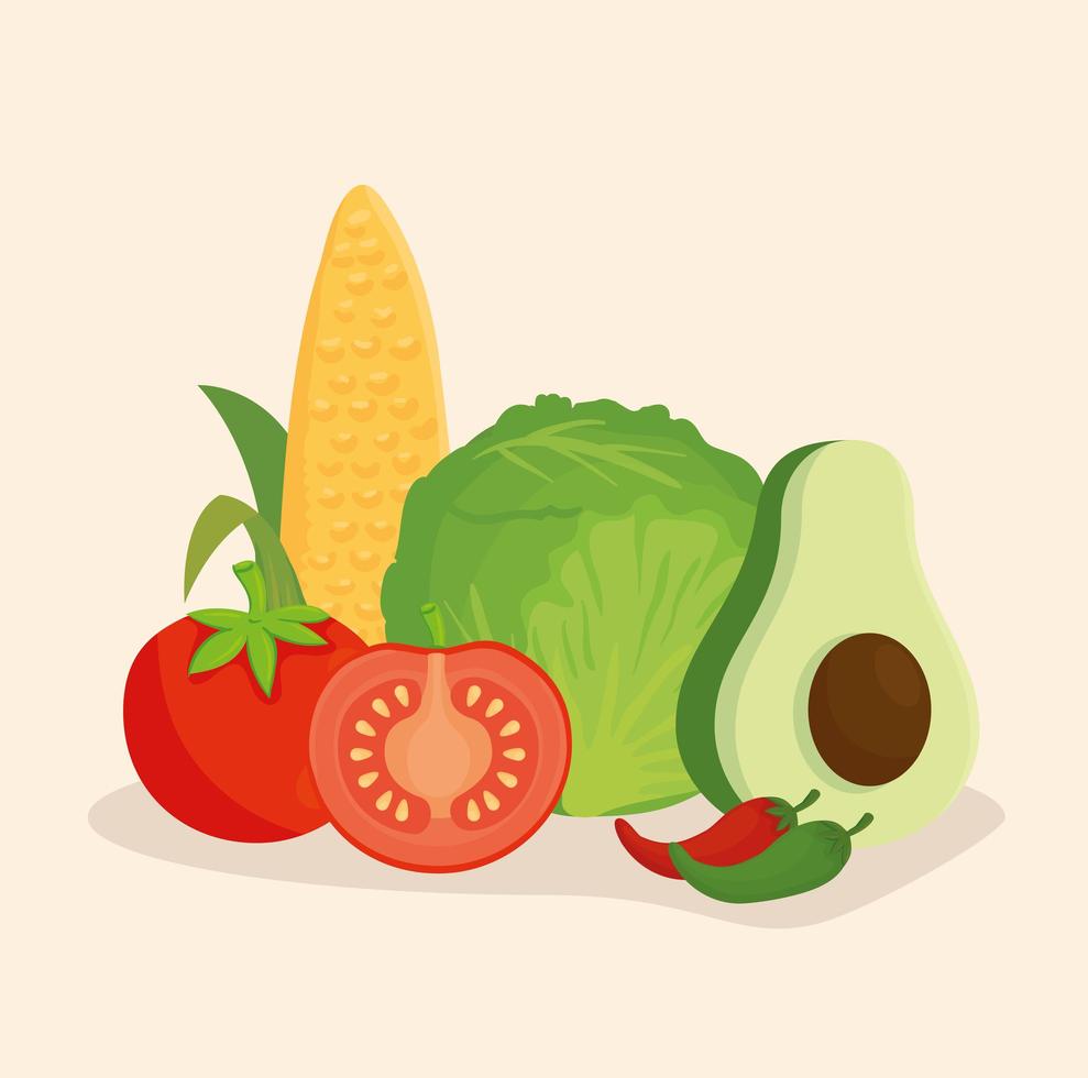 conjunto de verduras frescas y saludables vector