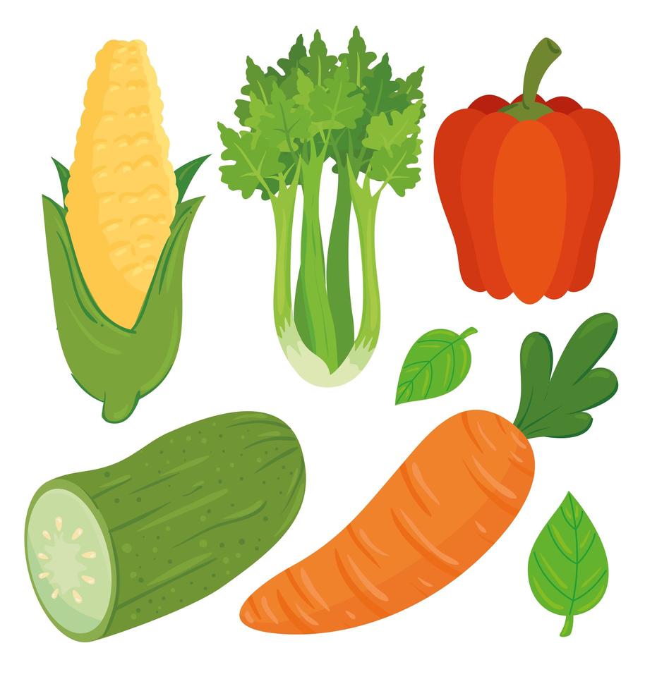 set of fresh and healthy vegetables vector