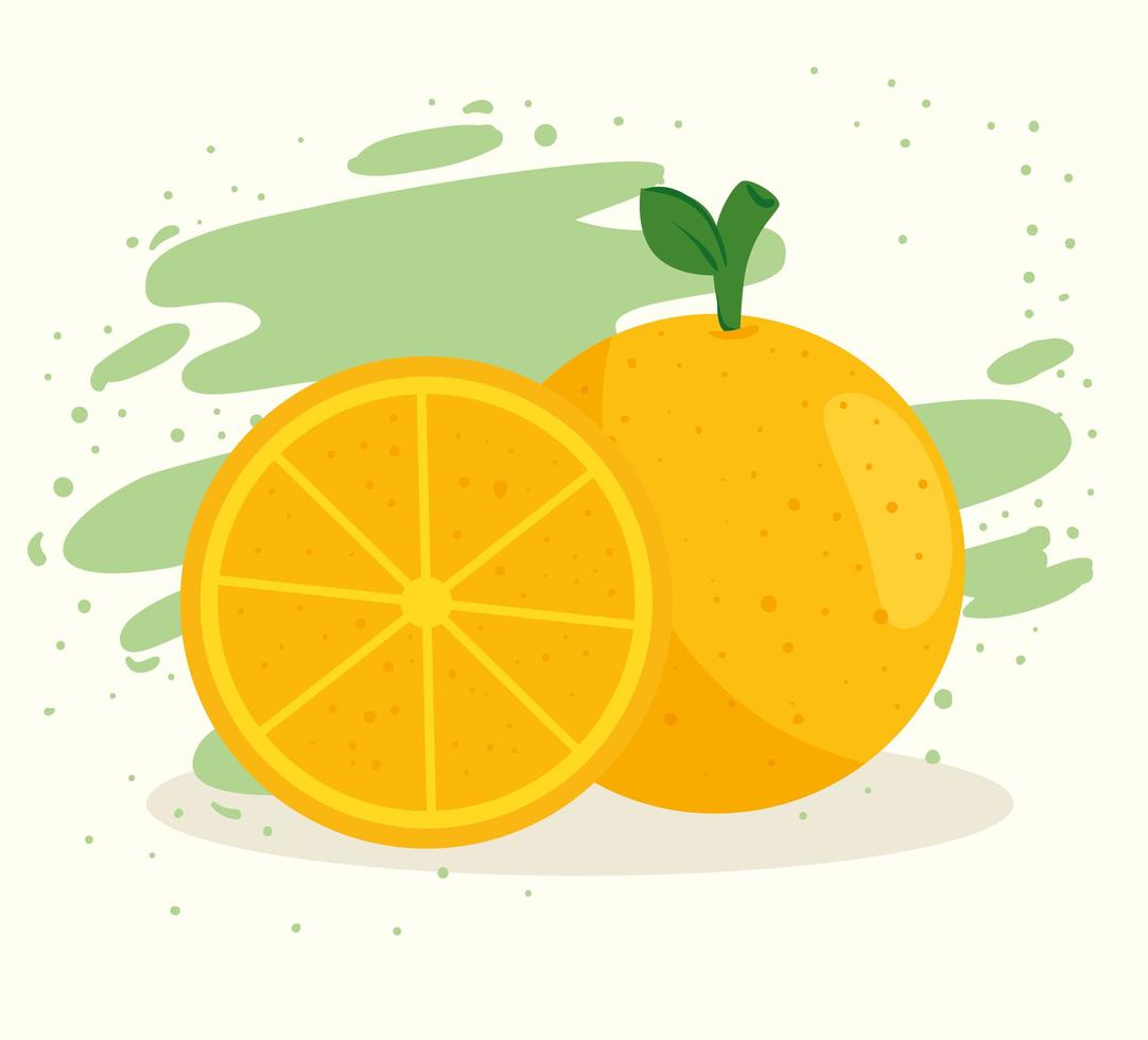 fruta naranja fresca y saludable vector