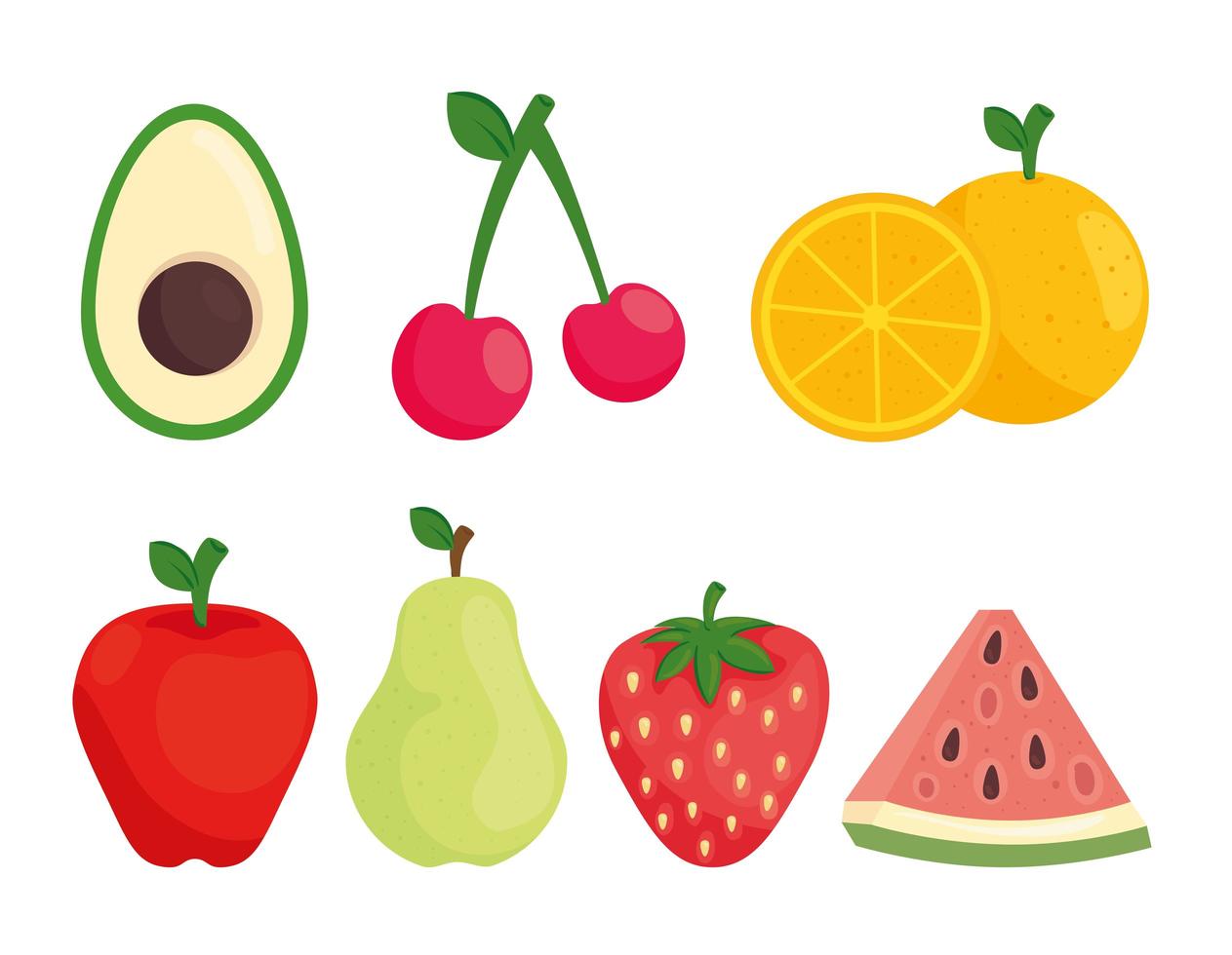 set of fresh fruits vector