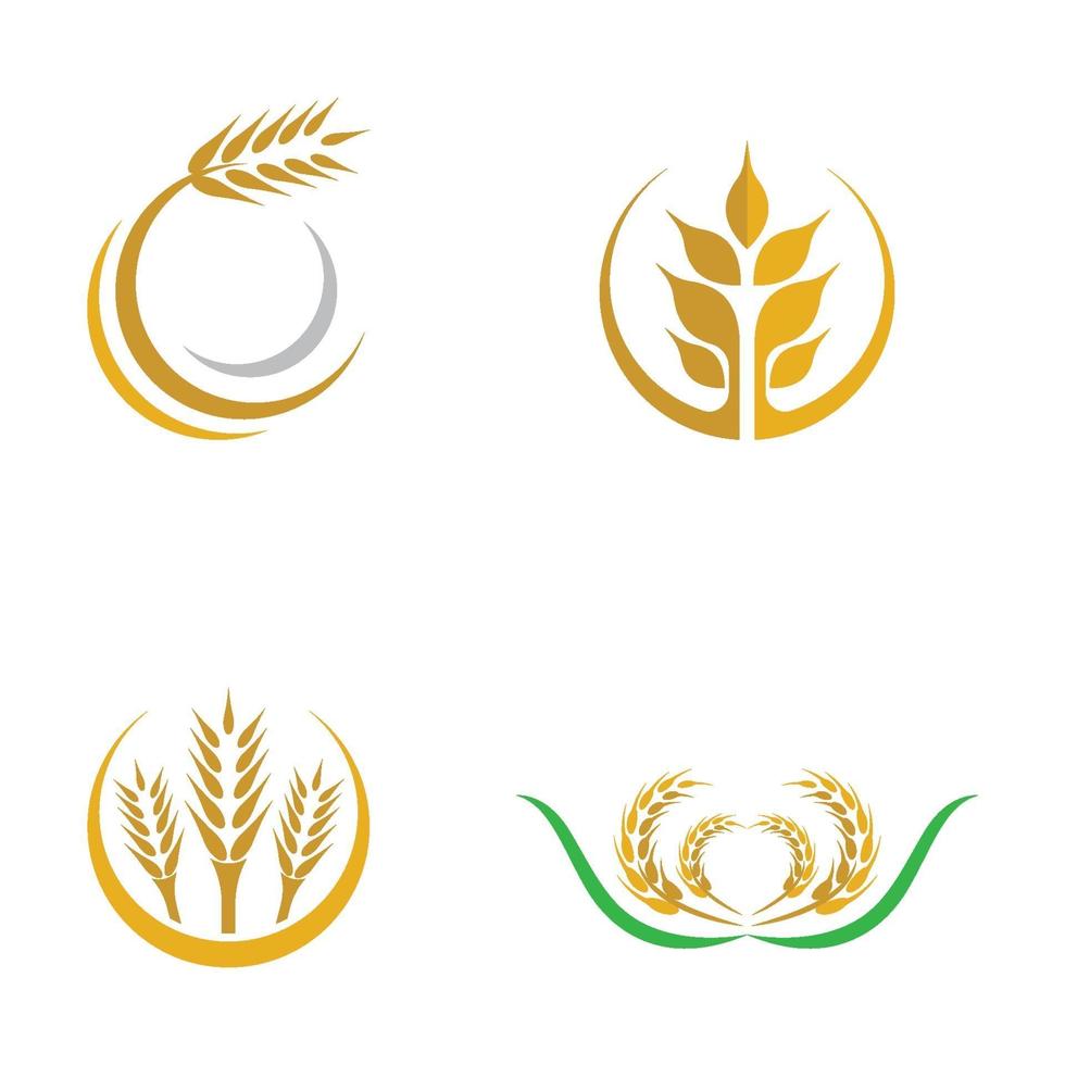 Wheat logo images set vector