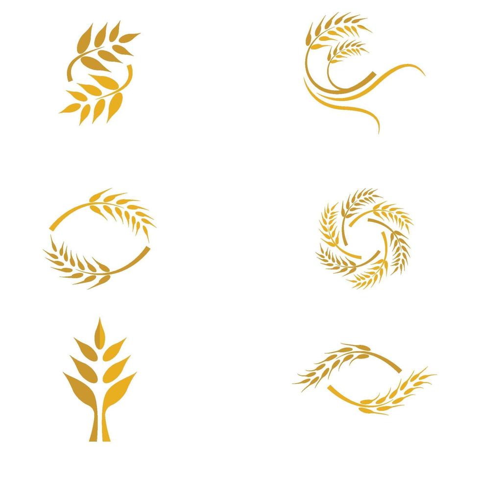 Wheat logo images set vector