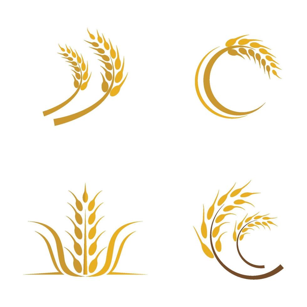 Wheat logo images set vector