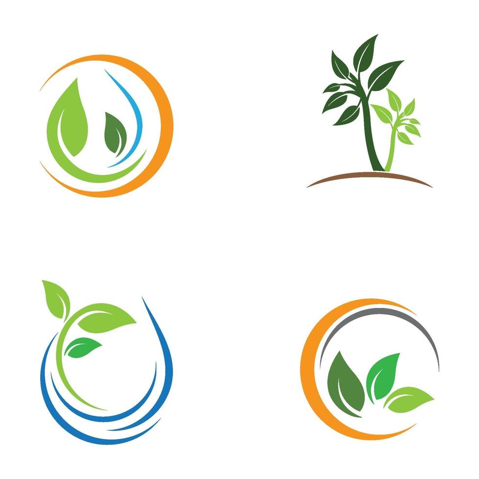 imagenes de logo de hoja vector