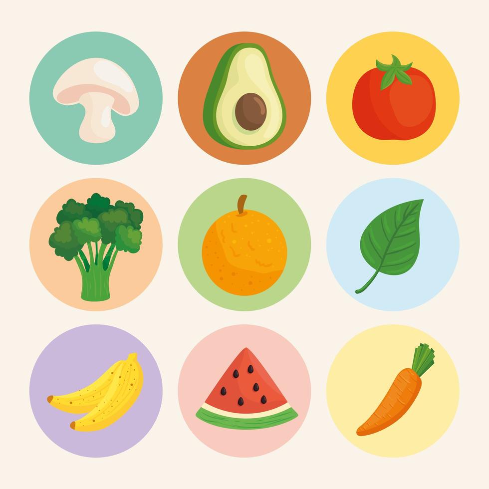 healthy and fresh food icon set vector