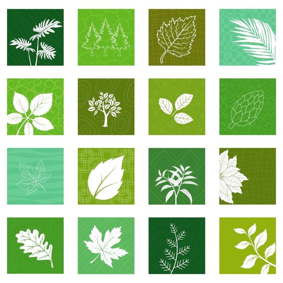 Collection of nature leaves icons vector