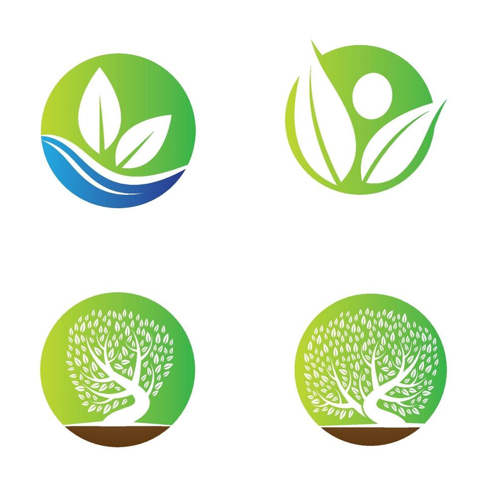 imagenes de logo de hoja vector