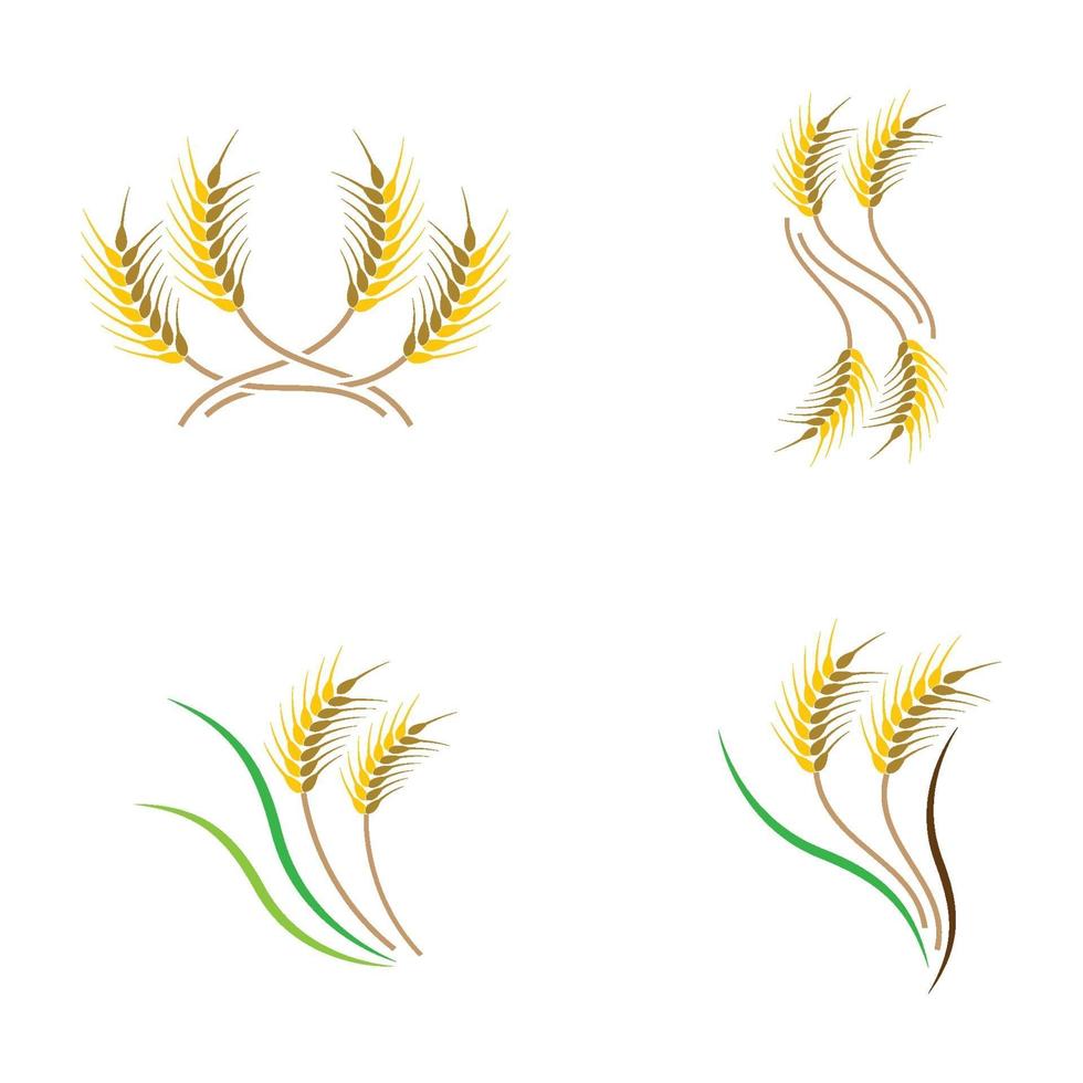 Wheat logo images vector