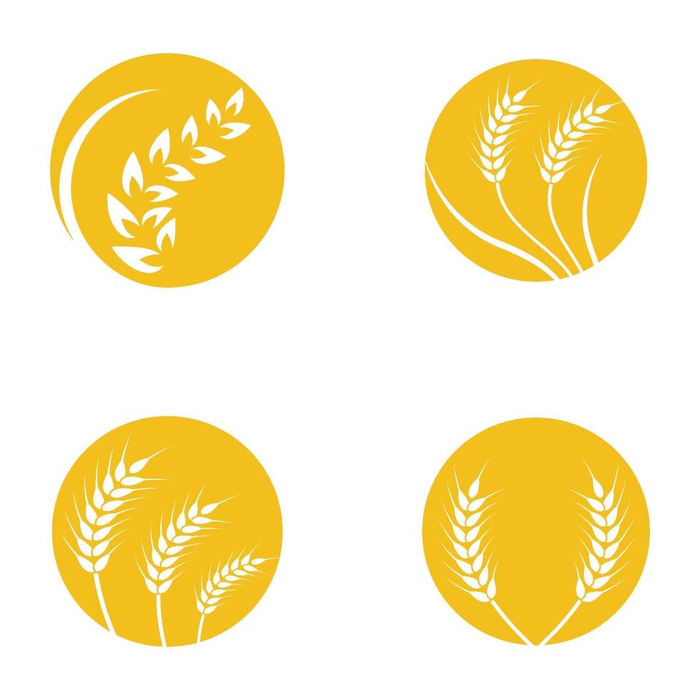 Wheat logo images vector