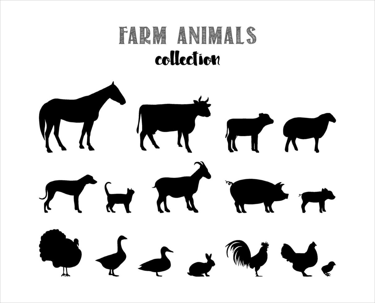 animales de granja, vector, siluetas, conjunto vector