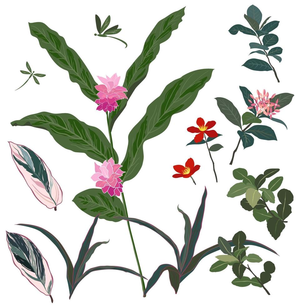 conjunto de hermosas flores tropicales y hojas vector