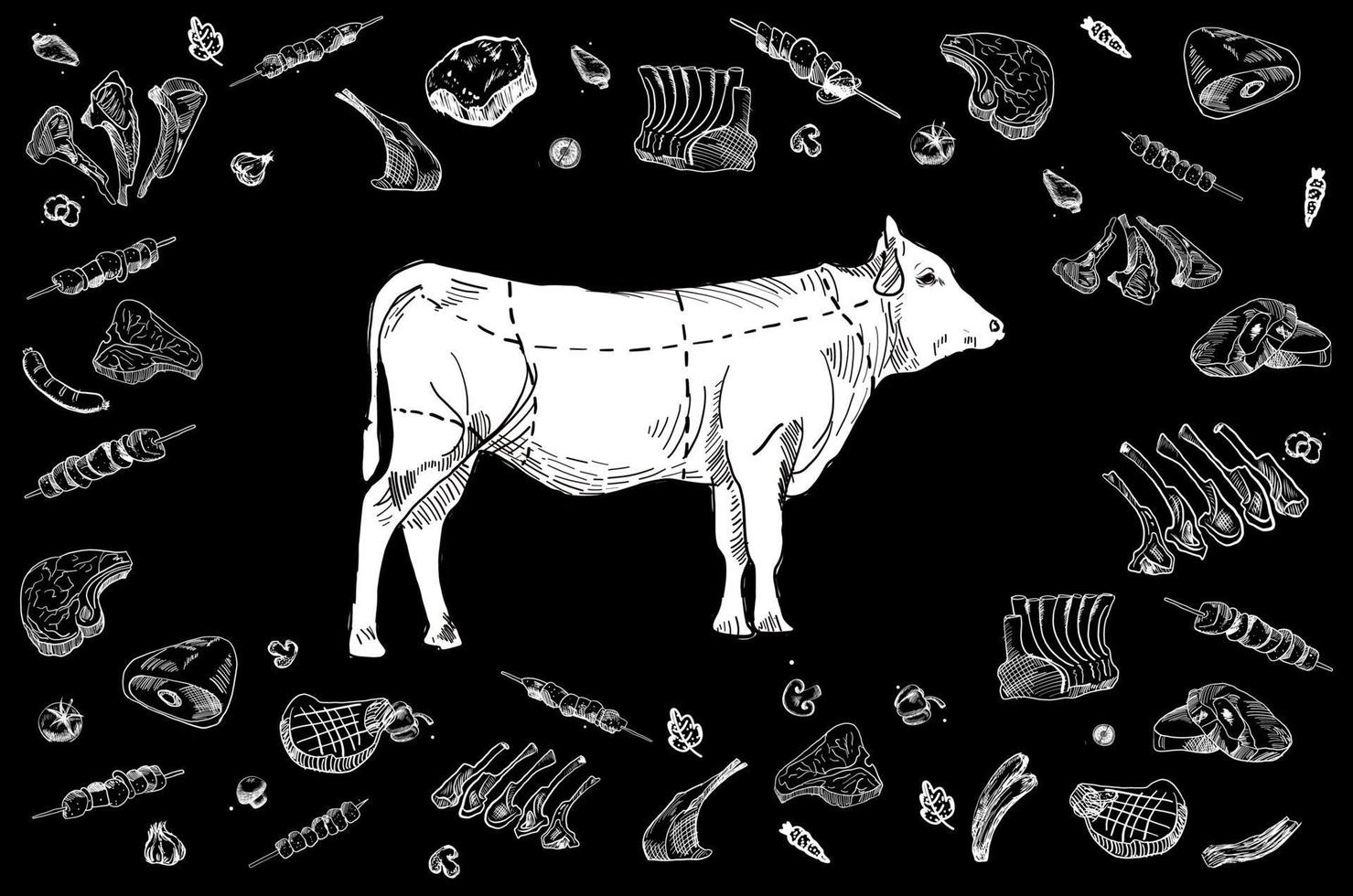 Butcher shop blackboard Cut of Beef Meat. vector