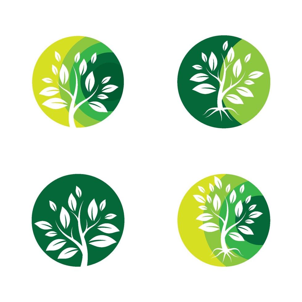 arbol logo imagenes diseño vector