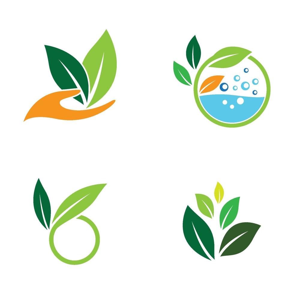 Leaf logo images vector