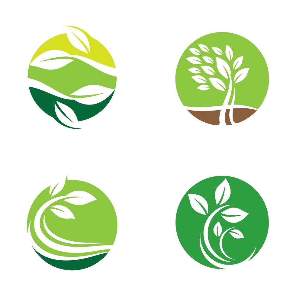 imagenes de logo de hoja vector