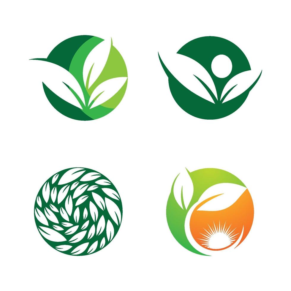 imagenes de logo de hoja vector