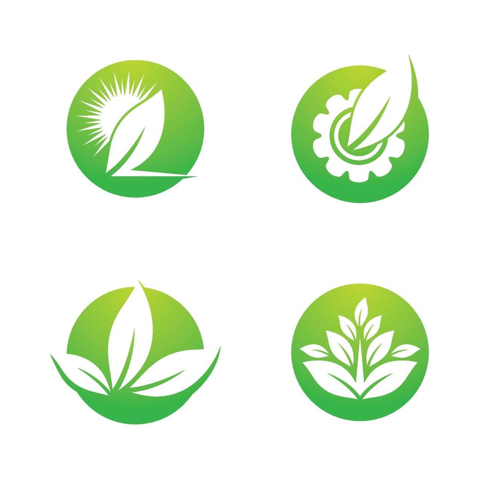 imagenes de logo de hoja vector