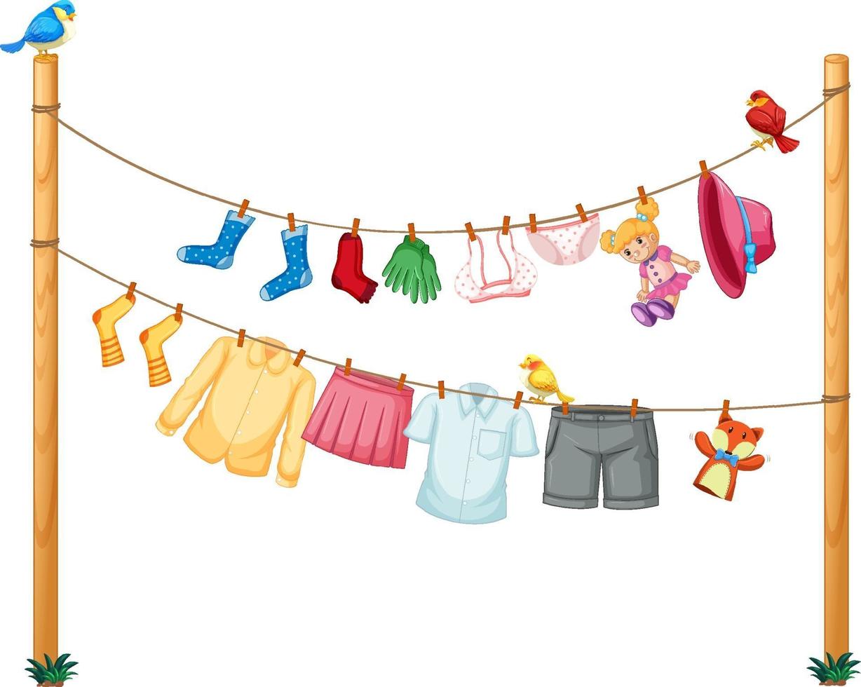 Isolated clothes hanging on clothesline on white background vector