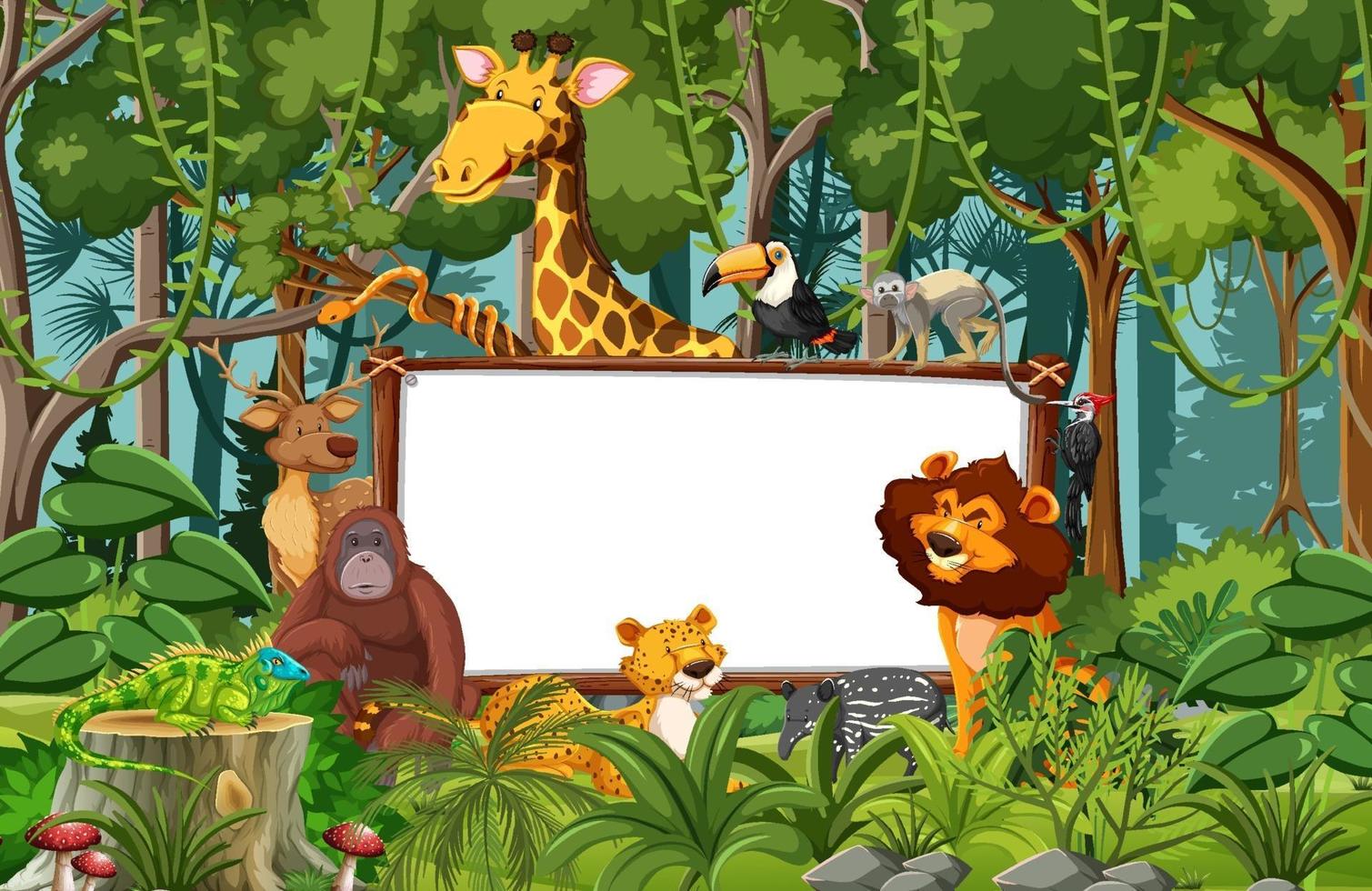 Blank banner in the rainforest scene with wild animals vector