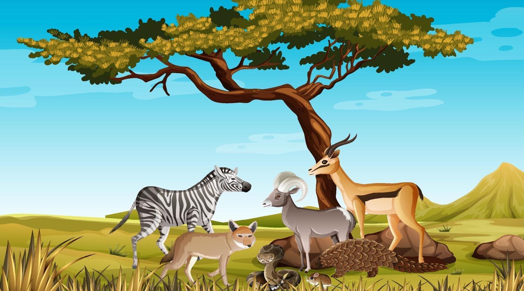 Grupo de animales salvajes africanos en la escena del bosque vector