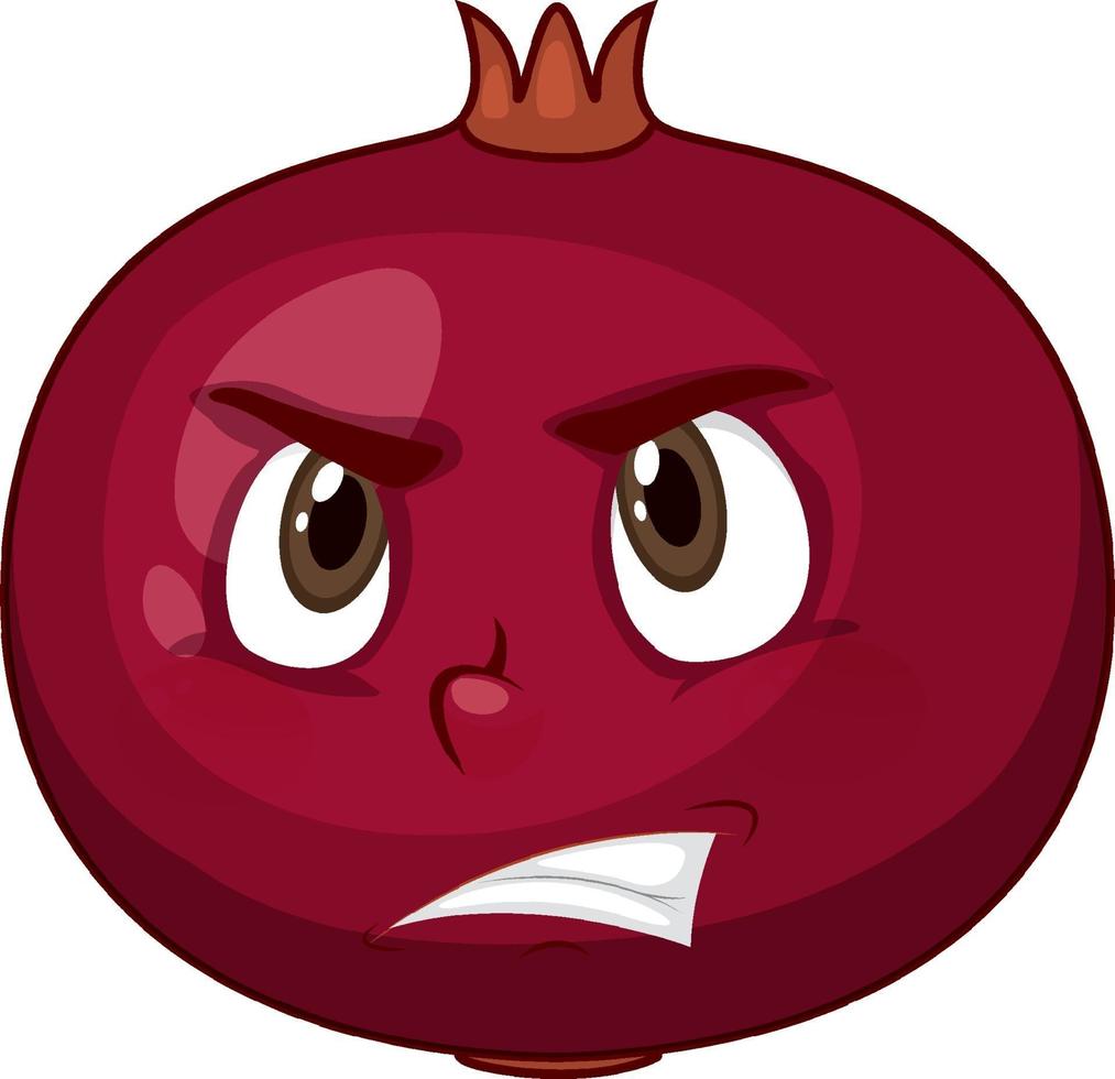 Pomegranate cartoon character with facial expression vector