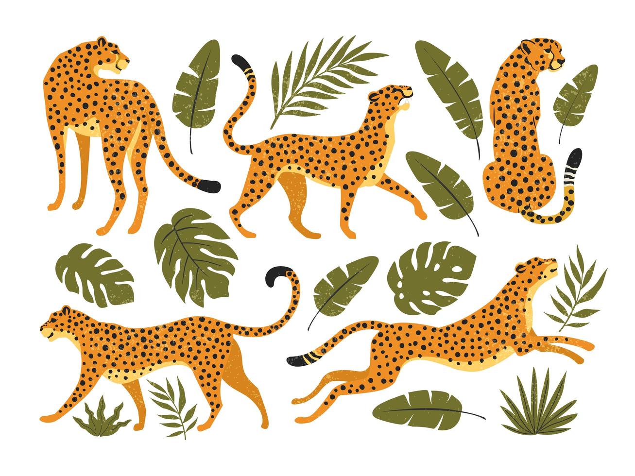vector conjunto de leopardos o guepardos y hojas tropicales. ilustración de moda.