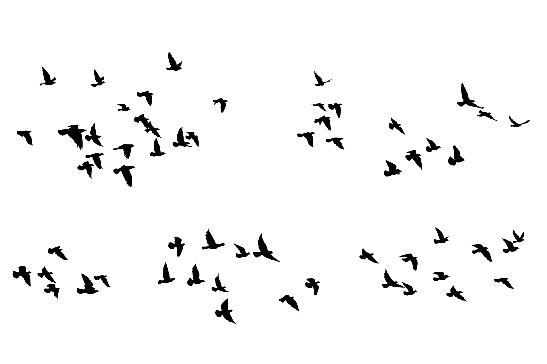 Flying Birds Silhouettes Pattern Wallpaper Vector Illustration 