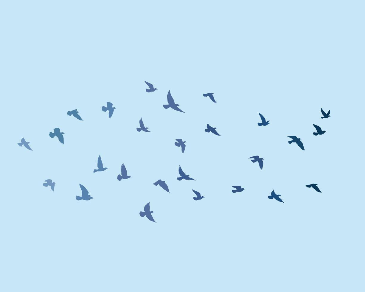 Flying birds silhouettes pattern wallpaper. Vector illustration. isolated bird flying. tattoo design. template for card, package, and wallpaper.